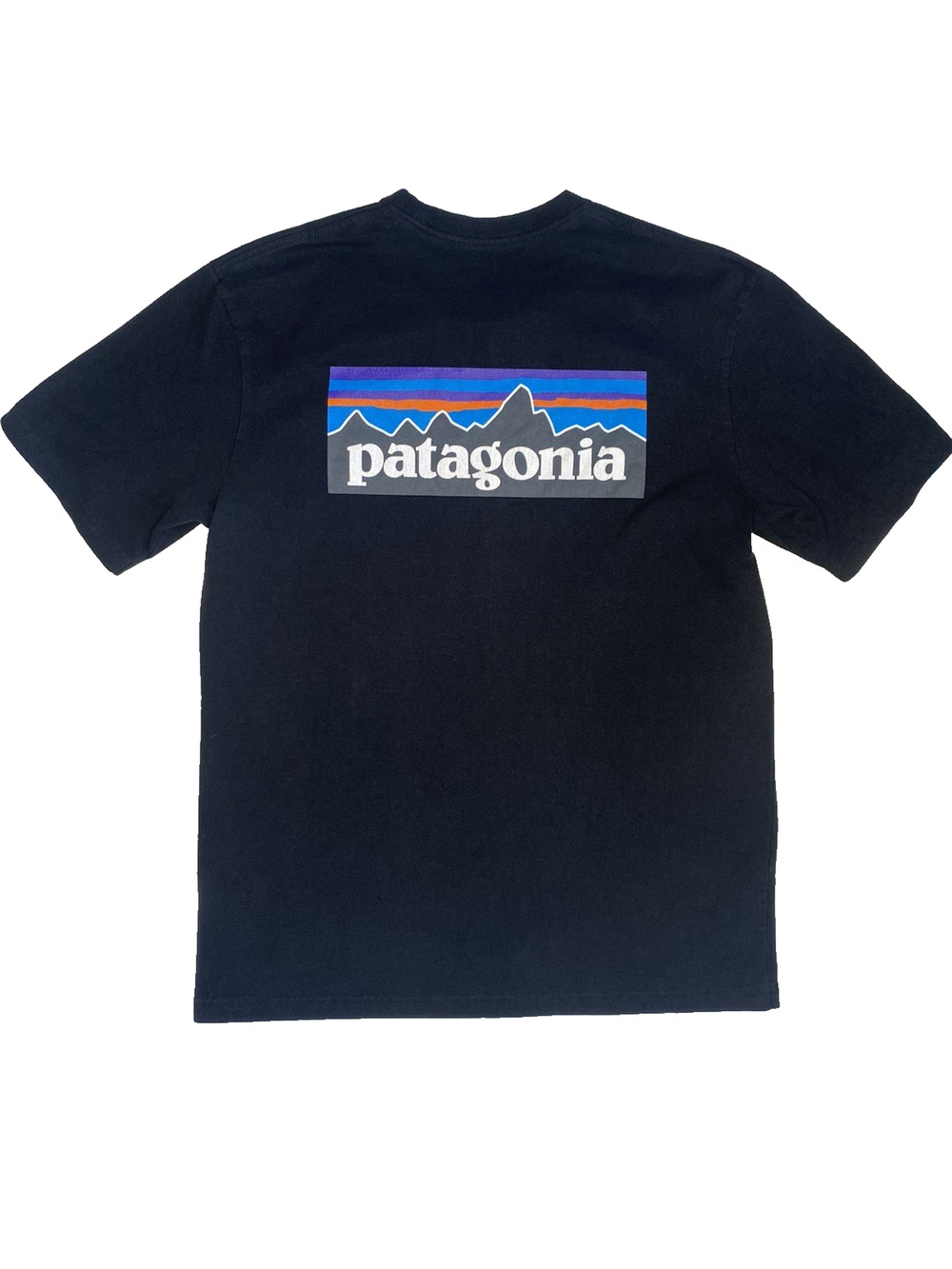 Patagonia Shirt Mens Medium Regular Fit Logo Short Sleeve Tee Granola Gorpcore